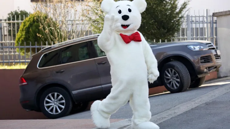 Dionice Leda potonule su čak 75 posto