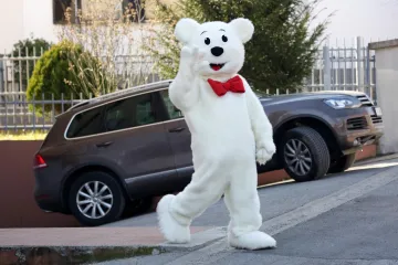 Dionice Leda potonule su čak 75 posto