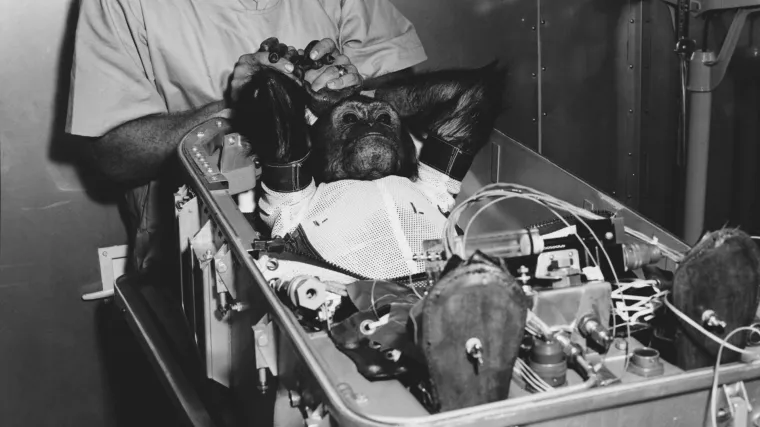 Bestežinsko stanje prvi je iskusio Albert, a prva u svemiru bila je Lajka