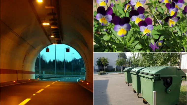 Pojavila se dosad neviđena zanimanja - čuvari ljubičica i plakata, upravitelji tunela...