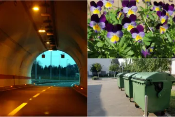 Pojavila se dosad neviđena zanimanja - čuvari ljubičica i plakata, upravitelji tunela...