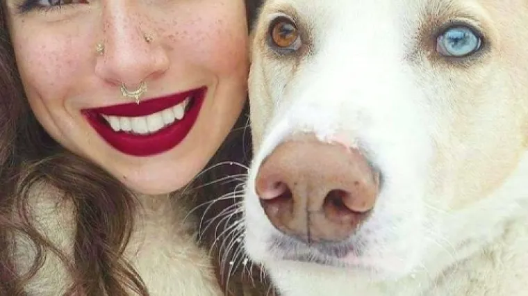 Po čemu se točno razlikuju osobe koje vole pse od onih koji ipak vi&scaron;e vole mačke? Evo odgovora