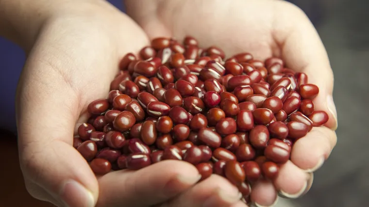 Crveni grah: prirodni lijek protiv dijabetesa