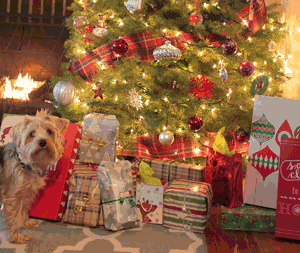 Najnovija studija kaže kako većina žena od svojih partnera za Božić želi poklone u vrijednosti između 1.000 i 1.500 kuna