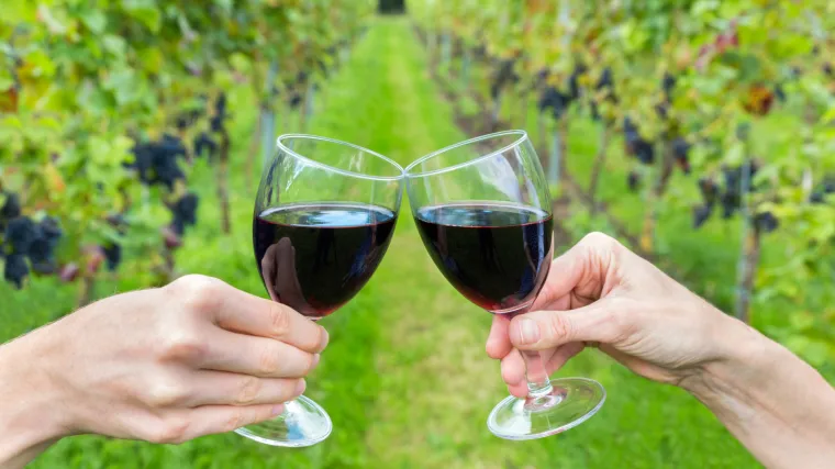 Martinje datum - znate li kada se obilježava Martinje?