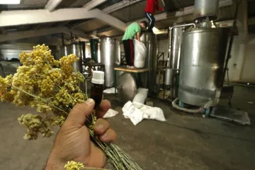 'Ovo je i potvrda one teze kako je vrlo teško preko noći postati bogat'