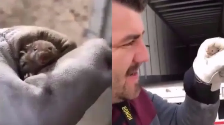 Dobričina koja će vas razniježiti: pogledajte kako je vozač kamiona 'izgrdio' mi&scaron;a koji mu je uni&scaron;tio posao