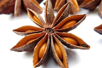 Anis biljka - začinska biljka slatkog okusa