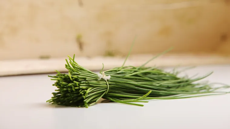 Divlji vlasac -samonikli začin izravno iz prirode