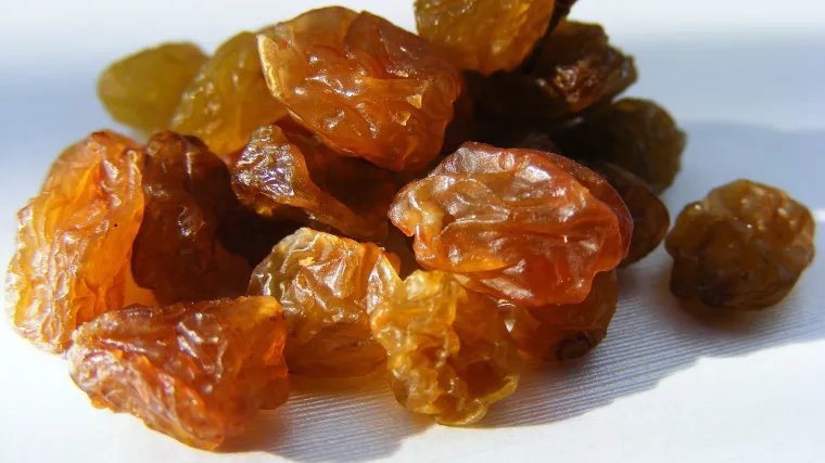 Sušenje grožđica: savjeti za pravilno sušenje grožđica