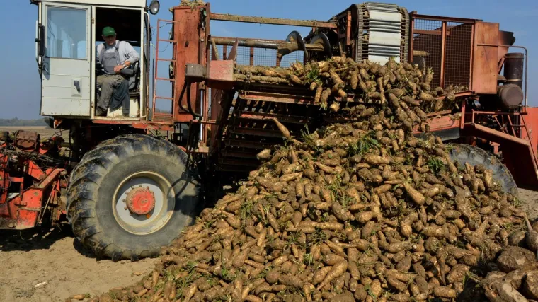 'Krenuo sam u proizvodnju sasvim slučajno, a danas na moja vrata kucaju i iz inozemstva'