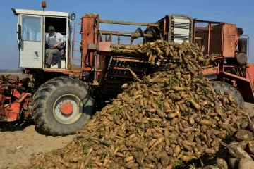 'Krenuo sam u proizvodnju sasvim slučajno, a danas na moja vrata kucaju i iz inozemstva'
