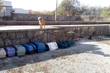 'Isuse mili... što je ovo s ljudima?'