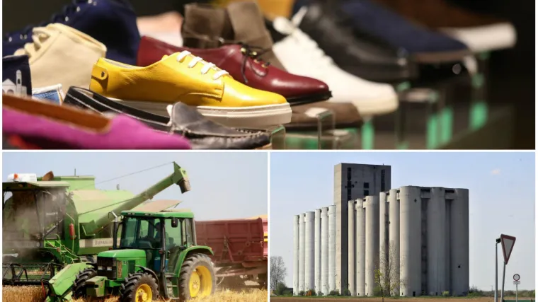 Tvrtka od deset zaposlenih zarađuje milijune, a divovi i perjanice Vukovara bore se za opstanak