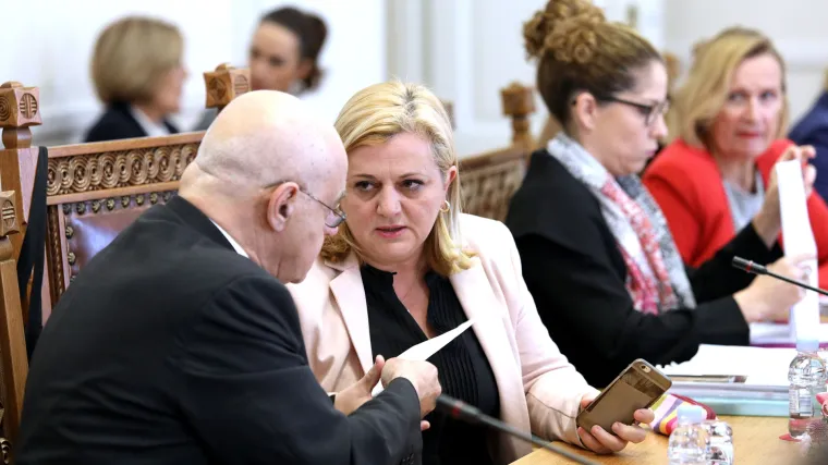 Zastupnica se sa svečanosti u Poreču  vratila uvrijeđena: 'Svi su me ignorirali, pogotovo Mesić. Nitko me nije spomenuo'