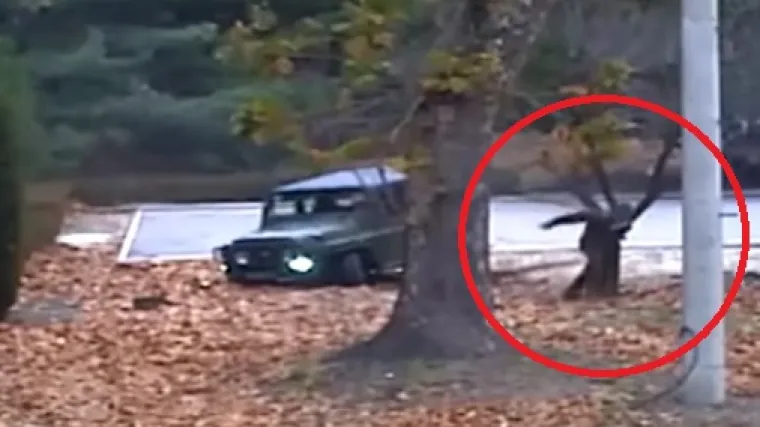 'Stvarno je simpatičan, voli seriju CSI'