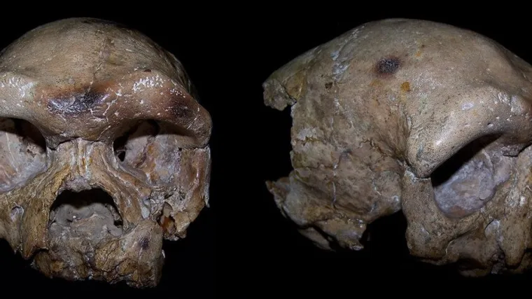 Je li ovo konačan dokaz da nisu svi naši pretci bili s afričkog kontinenta?