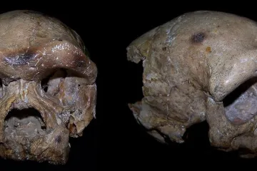 Je li ovo konačan dokaz da nisu svi naši pretci bili s afričkog kontinenta?