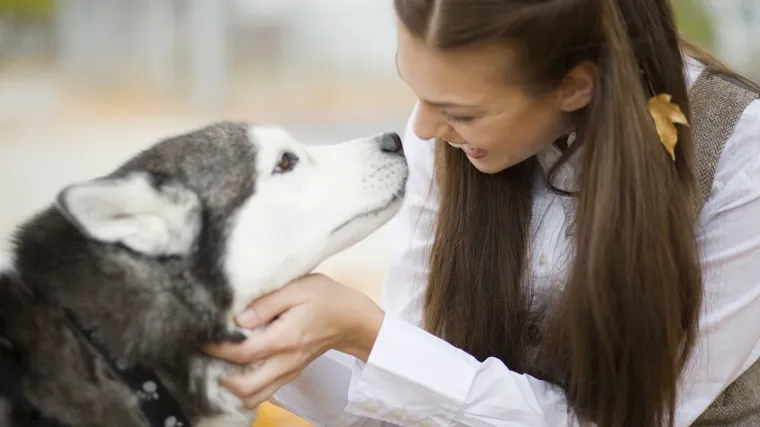 Vaš pas vas voli vidjeti nasmiješene? Sad znamo i zašto