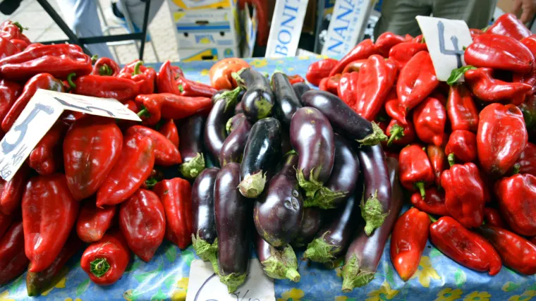 Radovi u vrtu po mjesecima - znate li kad se pojedina djelatnost u vrtu obavlja?