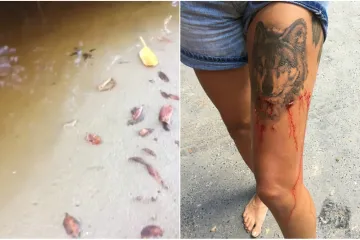 Snimile trenutak kad su iz vode iskočile smrtonosne ralje