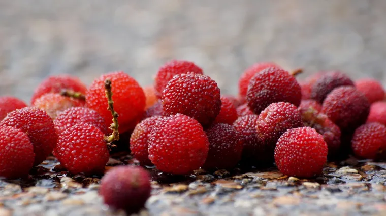 Planinska breskva - egzotična vrsta voća za koje možda nikada niste čuli