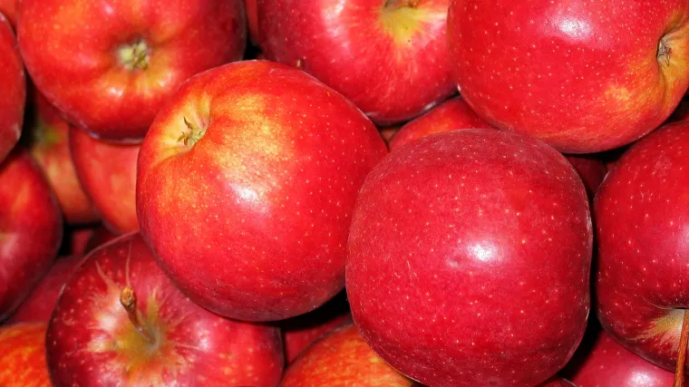 Gala jabuka - novozelandska osvježavajuća jabučna sorta