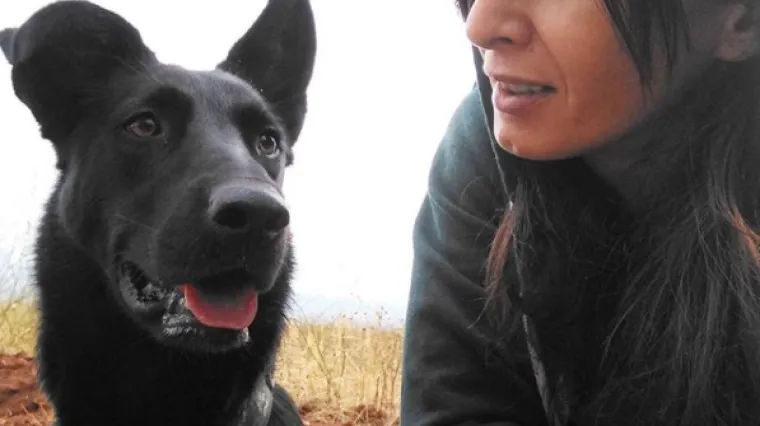 Znanstvenici vjeruju kako psi mogu biti čak dva puta pametniji od mačaka, a evo i zbog čega