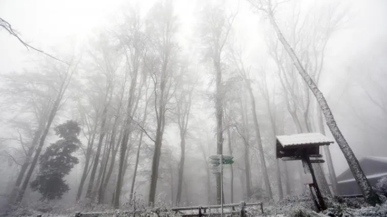 'Na putu prema gore': snimka vožnje po bajkovitom Sljemenu odu&scaron;evila ljubitelje snijega
