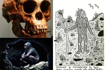 Misteriozni Agogwe možda je naš predak star milijunima godina