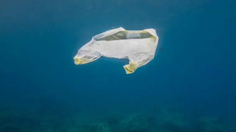 Kozmetika među najvećim zagađivačima: u Sredozemlju uskoro jednak broj ribe i plastičnog otpada