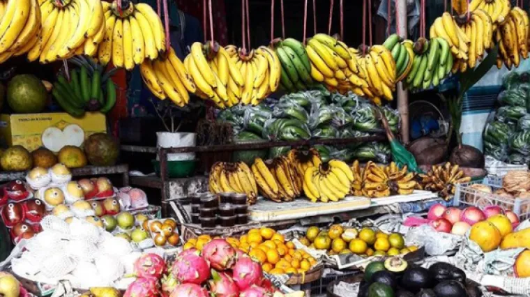 Banane različitih boja nisu samo drugačijeg okusa: Evo &scaron;to tvom zdravlju donose zelene, žute ili one s točkicama