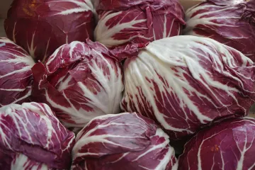 Lisnati radič: savjeti za uzgoj salate radič
