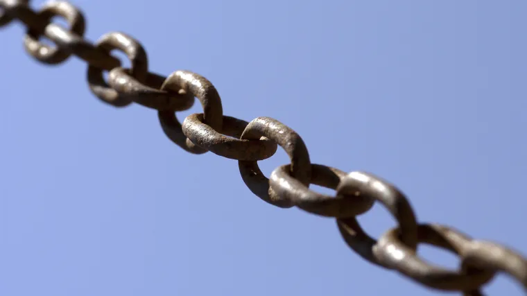 Monstruozni zločin u Sesvetskom Kraljevcu: netko lancem objesio psa na drvo