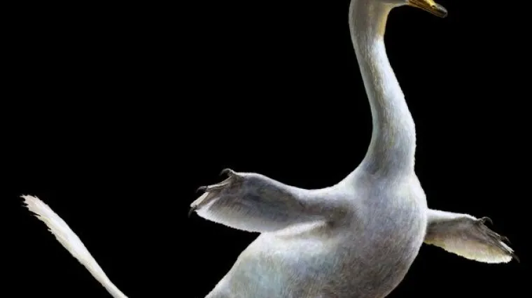 Podsjeća na mutiranog labuda iz noćnih mora