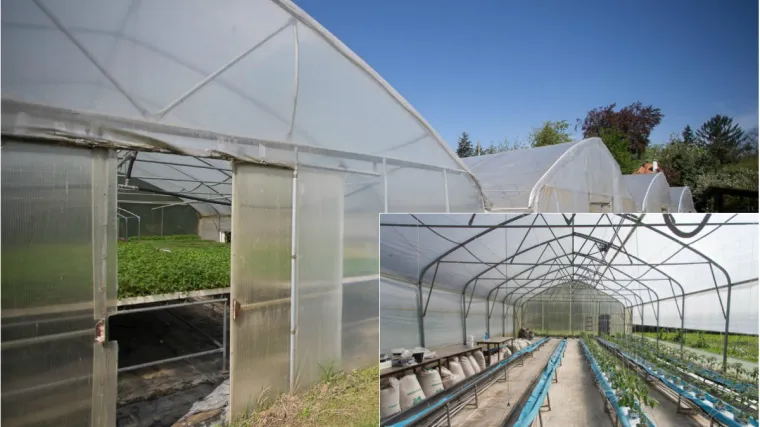 'Nisam ni sanjala o takvim tro&scaron;kovima, kao da legaliziram kuću. Prestra&scaron;no'