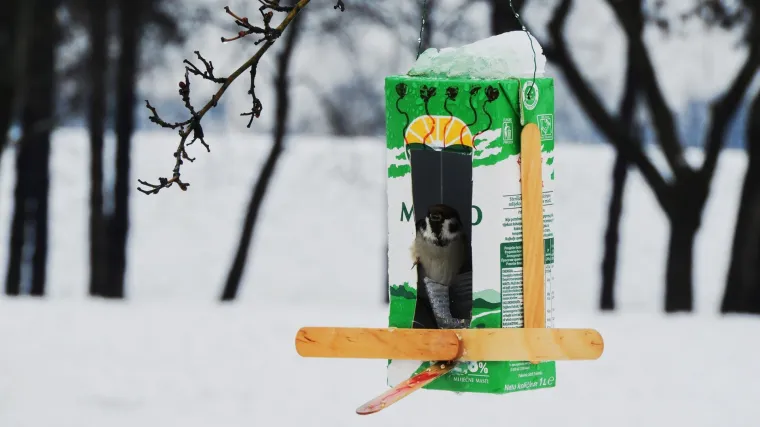 Prizor koji će vam uljep&scaron;ati sivi ponedjeljak: evo za&scaron;to volimo Zagreb!