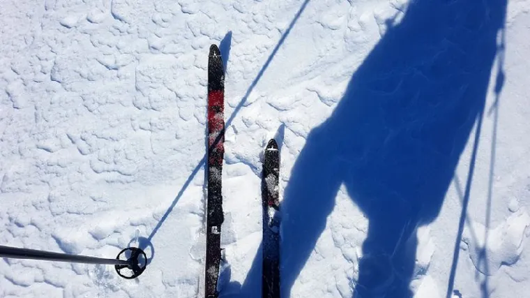 Rostuhar polako u&scaron;ao u rutinu: navigira se sjenama, a Sunce mu je prijatelj