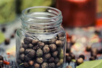 Piment začin - najpoznatiji jamajkanski papar