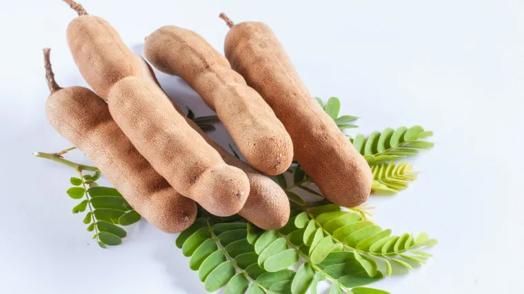Tamarind voće - ljekovita biljka koja čisti jetru