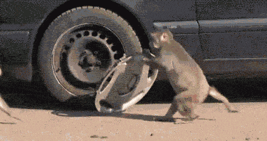 Parkirao u lo&scaron;oj četvrti