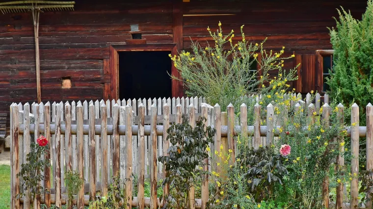 Savjeti kako se riješiti trave u vrtu