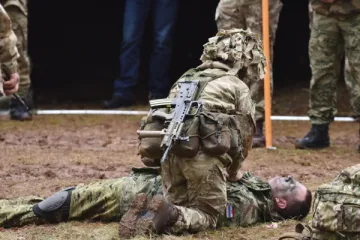 'On je Trnoružica Lisabonskog ugovora, koja se sada budi'