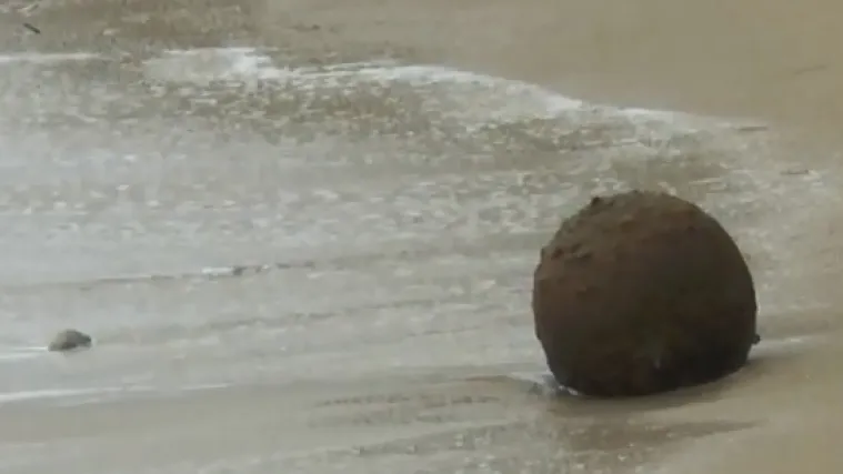 Deaktivirana protubrodska mina na dubrovačkoj plaži