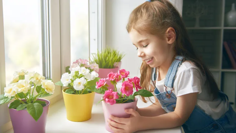 Znate li za&scaron;to je korisno zalijevanje cvijeća sodom bikarbonom?
