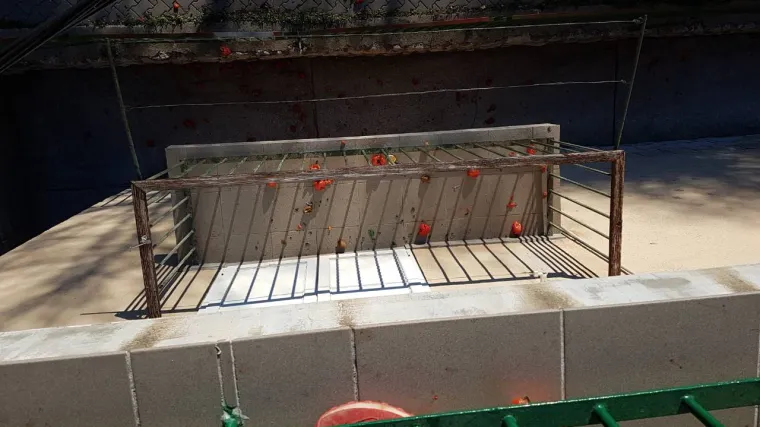 Zgrada na &scaron;ibenskom Baldekinu pod terorom huligana: 'Mater mi se trese. Ako se ovo nastavi, uzet ću pravdu u svoje ruke'