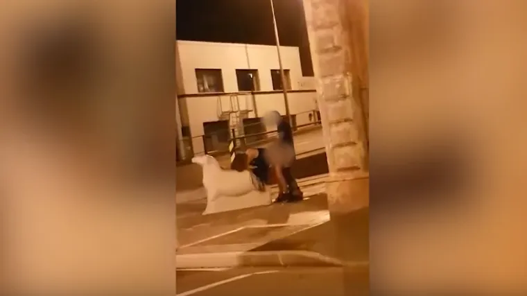 Film 'Ubrzanje' u pravom životu: divljački se poseksali nasred ulice, riskirali zatvor od dvije godine