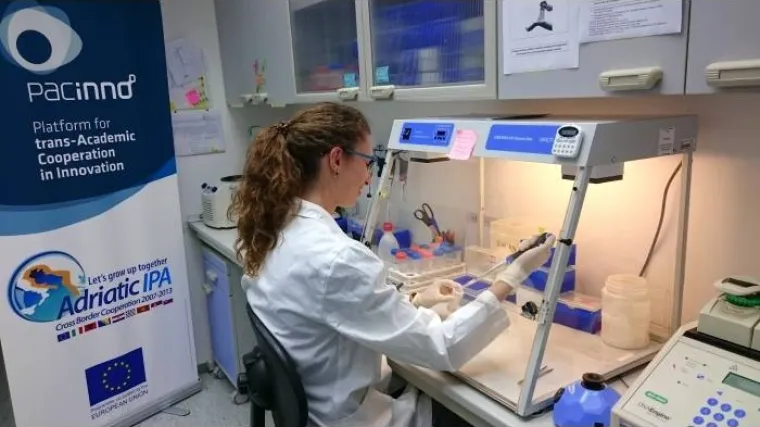 Može li država s osamdeset i jednim milijunom kuna zadržati mlade istraživače u Hrvatskoj?