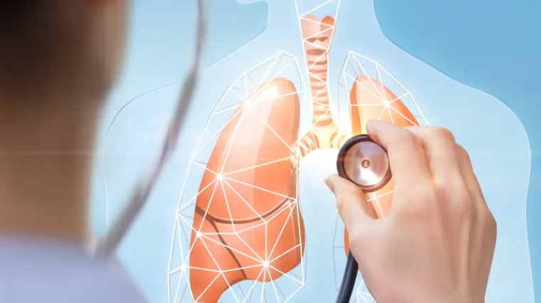 Pluća ljudi koji ih redovito jedu stare čak 80 posto sporije