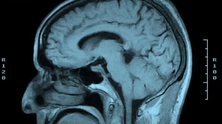 Ova obitelj ne osjeća bol, znanstvenici kod njih otkrili nevjerojatne stvari